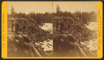 Banking ground, high bank, Cass River.