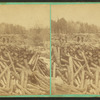Logs in the banking ground.