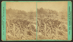 Logs in the banking ground.