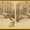Men sawing the lumber.