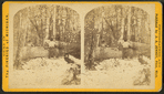 Men sawing the lumber.