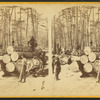Hauling at L.B. Curtis & Co's.