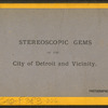 Store fronts with awnings, Detroit, Michigan.