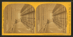 Cells and passage in the house of corrections.