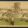 Belle Isle, river-environed park, Detroit, Michigan.
