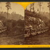 Ore train and van in the Jackson Iron Mine.