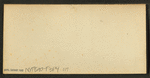 W.B. Ogden and party at Negaunee.