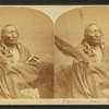 Sioux Chief 'Roman Nose'.