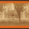 View of the fountain from the shadow of a burr oak.