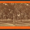 View of the park and fountain from Rose St.