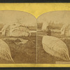 Chippewa Indians.