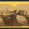 Chippewa Indians.