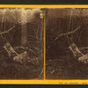 The (AB) original "babe in the woods"
