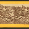 Red river carts.