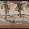 Niagara, Prospect Park.