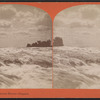 Rapids from the Cataract House, Niagara.