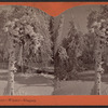 Luna Island scenery, winter, Niagara.