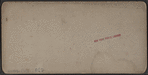 General view from Victoria Point, Niagra on line of N. Y. C. & H. R. R. R..