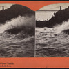 Niagara, Whirlpool Rapids on line of N. Y. C. & H. R. R. R..