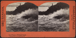 Niagara, Whirlpool Rapids on line of N. Y. C. & H. R. R. R..
