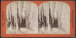 The Hermit's Cave, winter.