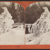 Natural ice formation in shape of eagle's head, Luna Island.
