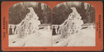 Natural ice formation in shape of eagle's head, Luna Island.