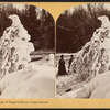 Natural ice formation in shape of eagle's head, Luna Island.