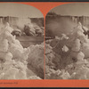 Ice bridge and American Fall.