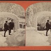 Niagara, ice arch and shadow face, Prospect Park.