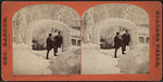 Niagara, ice arch and shadow face, Prospect Park.