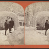 Ice arch and shadow face, Prospect Park.