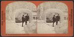 Ice arch and shadow face, Prospect Park.
