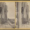 Niagara Falls Sept 2d 1866 Niagara Falls frozen below Table Rock.