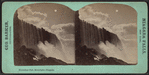 Horseshow Fall, moonlight, Niagara.