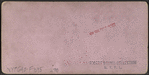 North wing of Cataract House, Niagara Falls, N. Y..