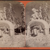 Winter wonders in Prospect Park, Niagara, February 1875.