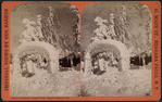 Winter wonders in Prospect Park, Niagara, February 1875.