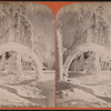 Winter wonders in Prospect Park, Niagara, February 1875.