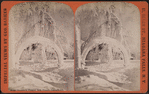 Winter wonders in Prospect Park, Niagara, February 1875.