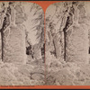 Winter wonders in Prospect Park, Niagara, February 1875.