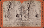 Winter wonders in Prospect Park, Niagara, February 1875.