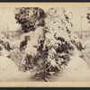 View of ice, Niagara.