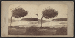 American Fall, from Luna Island.