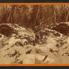 Winter scenery on Keweenaw Point, "Hotel de Flap-Jack."