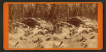 Winter scenery on Keweenaw Point, "Hotel de Flap-Jack."