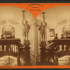 Grand Saloon, Steamer Peerless.