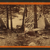 South shore ramblings. [lean-to set among trees].