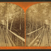 Wooden bridge leading to mill.
