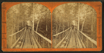 Wooden bridge leading to mill.